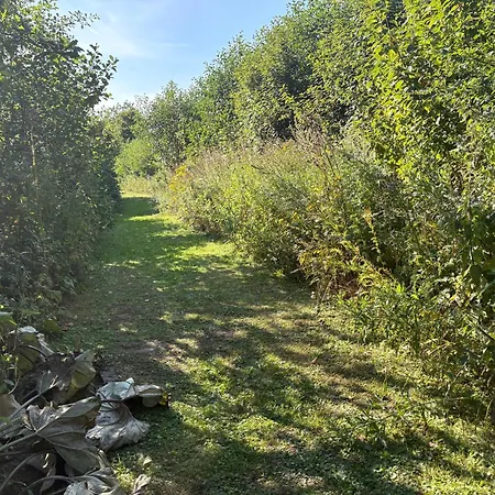 شقة Buksbomhus Sorø